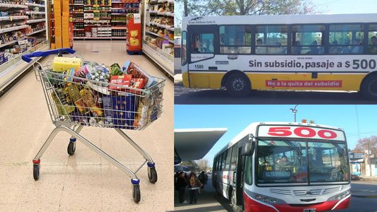 Para llorar: cuánto costaba ir al supermercado en 2001 y el escandaloso aumento en 20 años