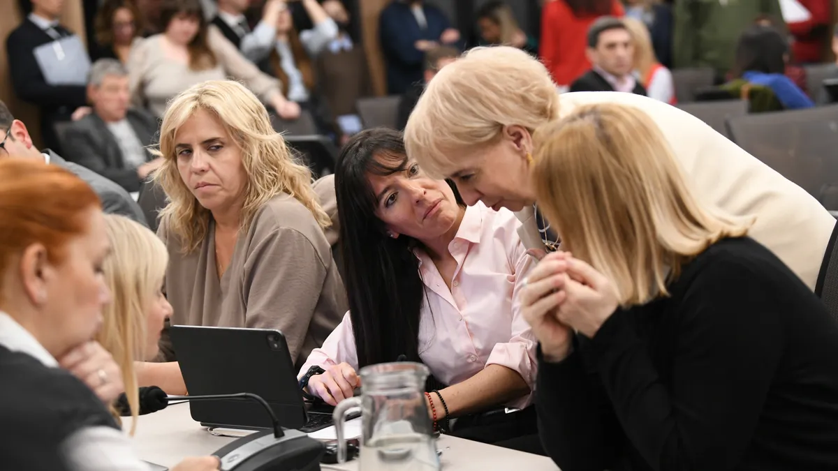 Silvana Giudici defendió la necesidad de avanzar sobre un proyecto que contemple la problemática del endeudamiento sin afectar el acceso al crédito. (Foto: @DiputadosAR)