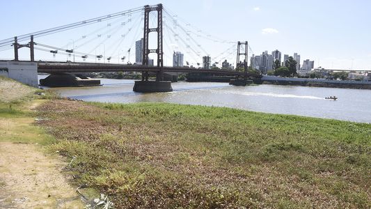 Alarma en el sector agro: alertan que casi el 55% del territorio nacional sufre una fuerte sequía