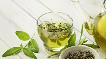 10 propiedades del té verde