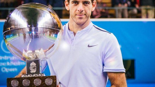Juan Martín Del Potro volverá a jugar en el ATP de Estocolmo