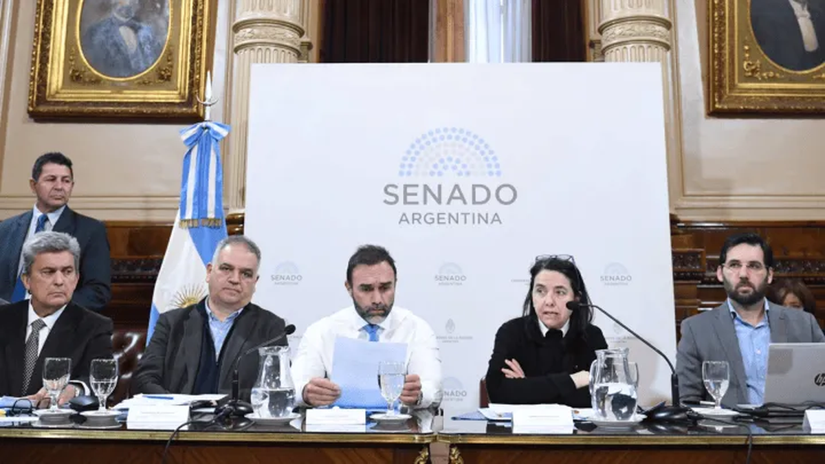 El Senado retomó el debate en comisión por la Reforma Jubilatoria y hay dictamen. (Foto. Crónica)
