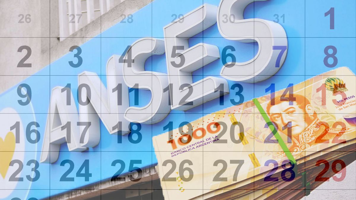 ANSES publicó el calendario de pagos de diciembre 2024. (Foto: archivo)