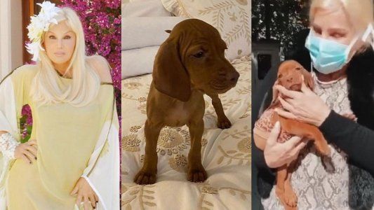 Susana tras las críticas que recibió por su perrita Rita: “Estoy harta de que digan estupideces, me pone bastante mal”