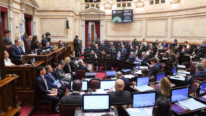 El Senado obtuvo dictamen para tratar la ley que regula los DNU e insiste con el texto original