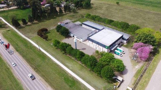 Se animaron durante la pandemia y hoy exportan por más de USD 500.000