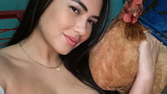 Allanaron local que hizo cédula a la gallina de Laurys Dyva