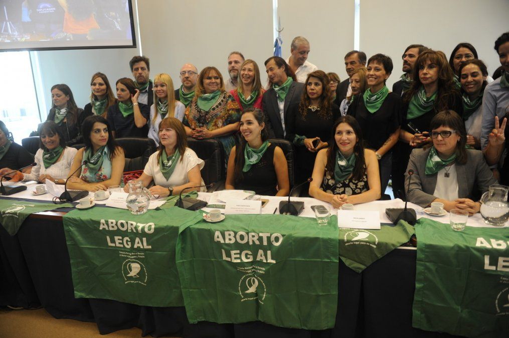 Los principales puntos del proyecto que busca legalizar el aborto