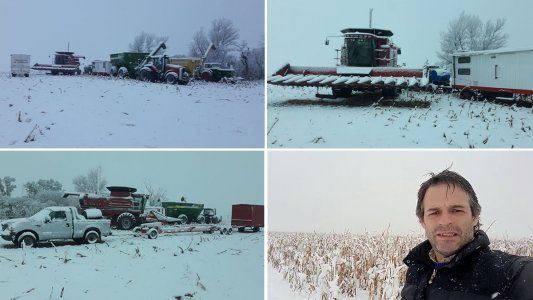La nieve sorprendió a los productores agropecuarios, con perspectivas dispares para los cultivos