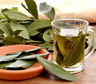 5 beneficios del motivo por el que recomiendan tomar té de laurel