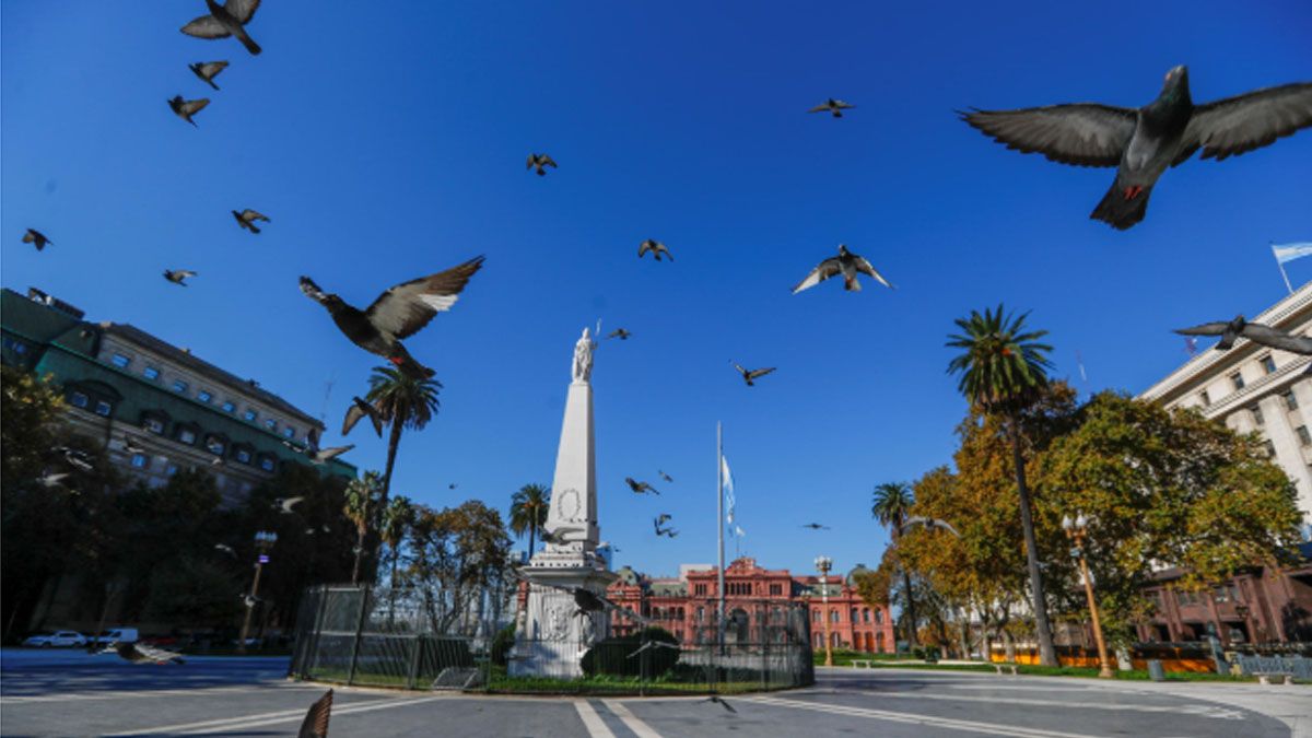 Palomas volando en la plaza de Mayo. Durante meses, casi la única presencia en ese sitio histórico. (Foto: Gentileza Paltaforma Arquitectura)