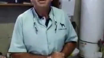 Repudian a veterinario que promueve el uso de un antibiótico exclusivo para animales, contra el Coronavirus