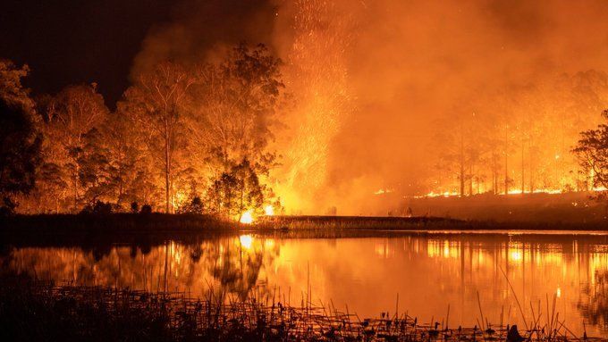 Incendios en Australia: 23 muertos, 1500 casas destruidas y críticas al Primer Ministro