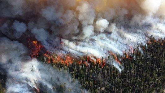 Los grandes incendios de África no se comparan con el Amazonia