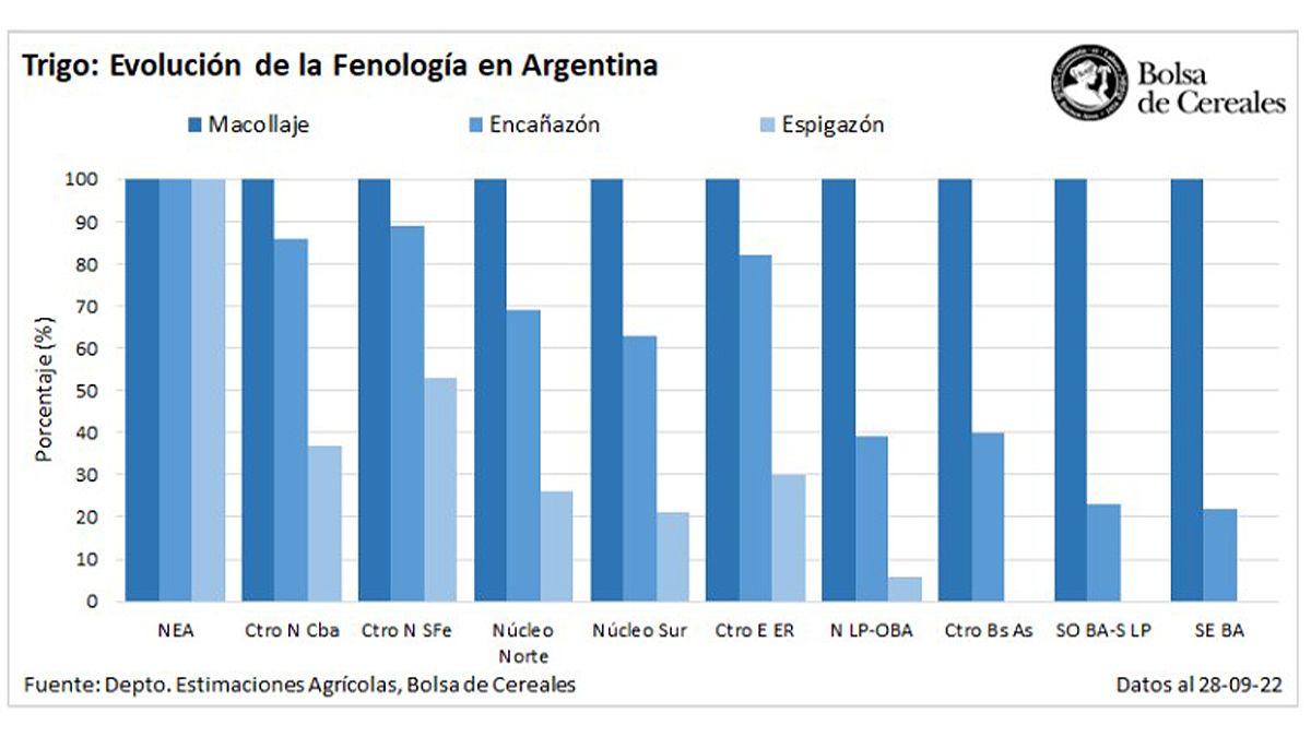 La producción de trigo, región por región del país. 