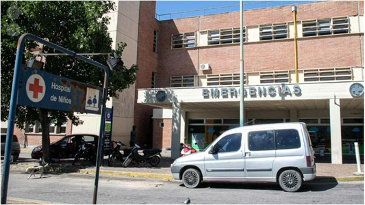 Una jauría atacó a una nena de 9 años, le amputaron un brazo y la familia sacrificó a los perros