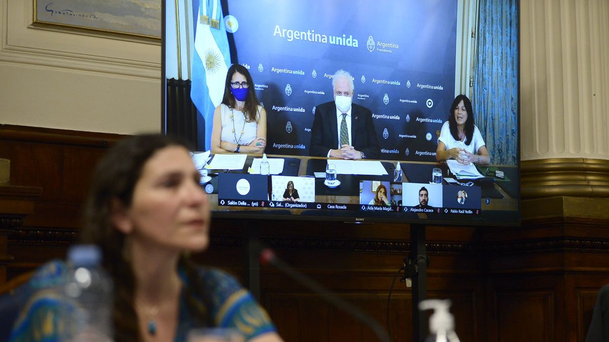 Aborto en Diputados: qué dijeron los ministros durante el debate en comisión