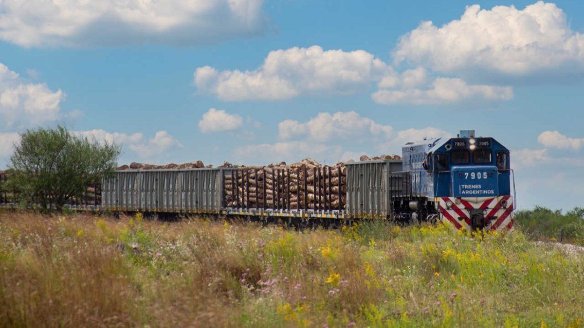 Los trenes de carga volverán a manos del Estado: se plantea un sistema de cánones para los privados.