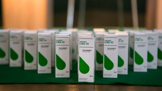 Cannabis medicinal: cómo es el complejo biotecnológico más grande del país y cuándo llegaría a venderse en farmacias