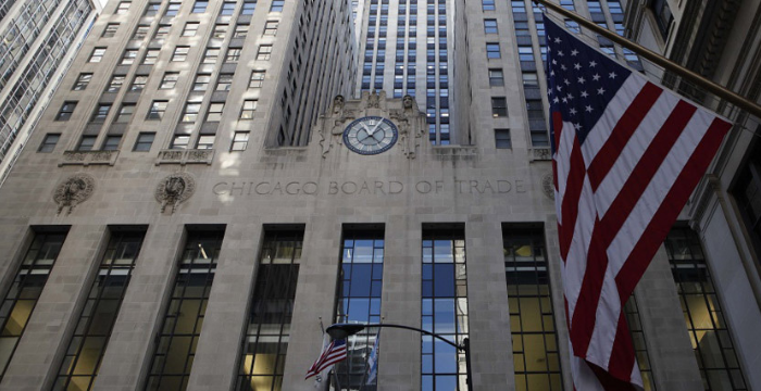 La soja volvió a caer en Chicago y se ubicó por debajo de los USD 500 la tonelada