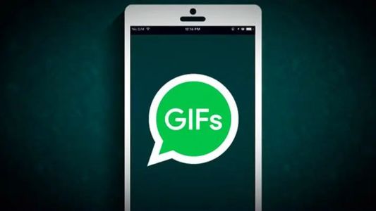 Ni stickers ni emojis: así podés crear un GIF único en WhatsApp con cualquier video