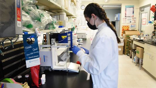 Con una ingenua maniobra, un empleado de limpieza destruyó una investigación de 20 años