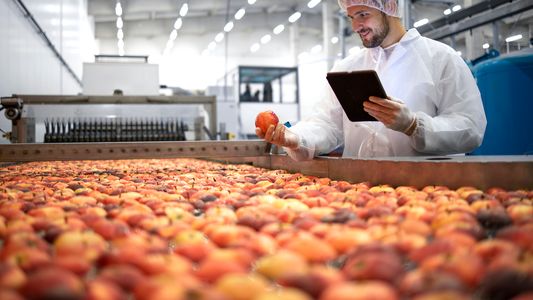 Dólar para las economías regionales: en la Patagonia le piden al Gobierno que sea por un tiempo prolongado