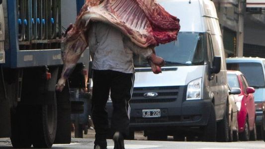 Sin cambios para la media res: el Gobierno postergó por 75 días la entrada en vigencia del troceo