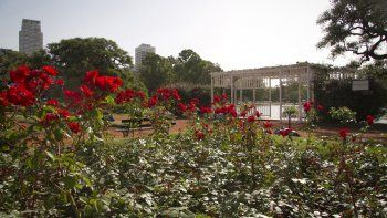 Primavera abrigada: este septiembre será más frío de lo normal
