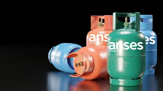 ANSES: cómo saber si cobro el Programa Hogar en noviembre