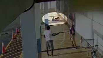 Un pitbull atacó a su perro y una señora hizo lo impensado para salvarlo: impactante video. (Foto: captura de video)