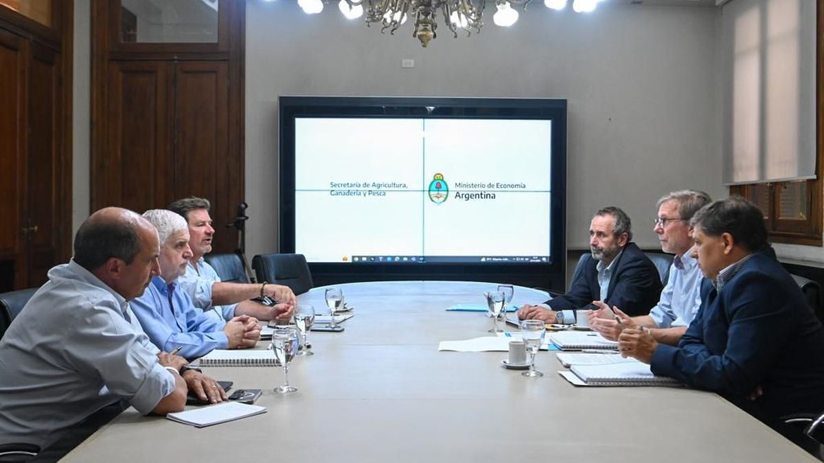 El secretario de Agricultura se reunió con referentes del equipo de Javier Milei. (Télam)