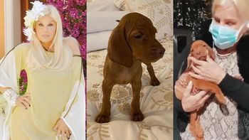 Susana tras las críticas que recibió por su perrita Rita: “Estoy harta de que digan estupideces, me pone bastante mal”