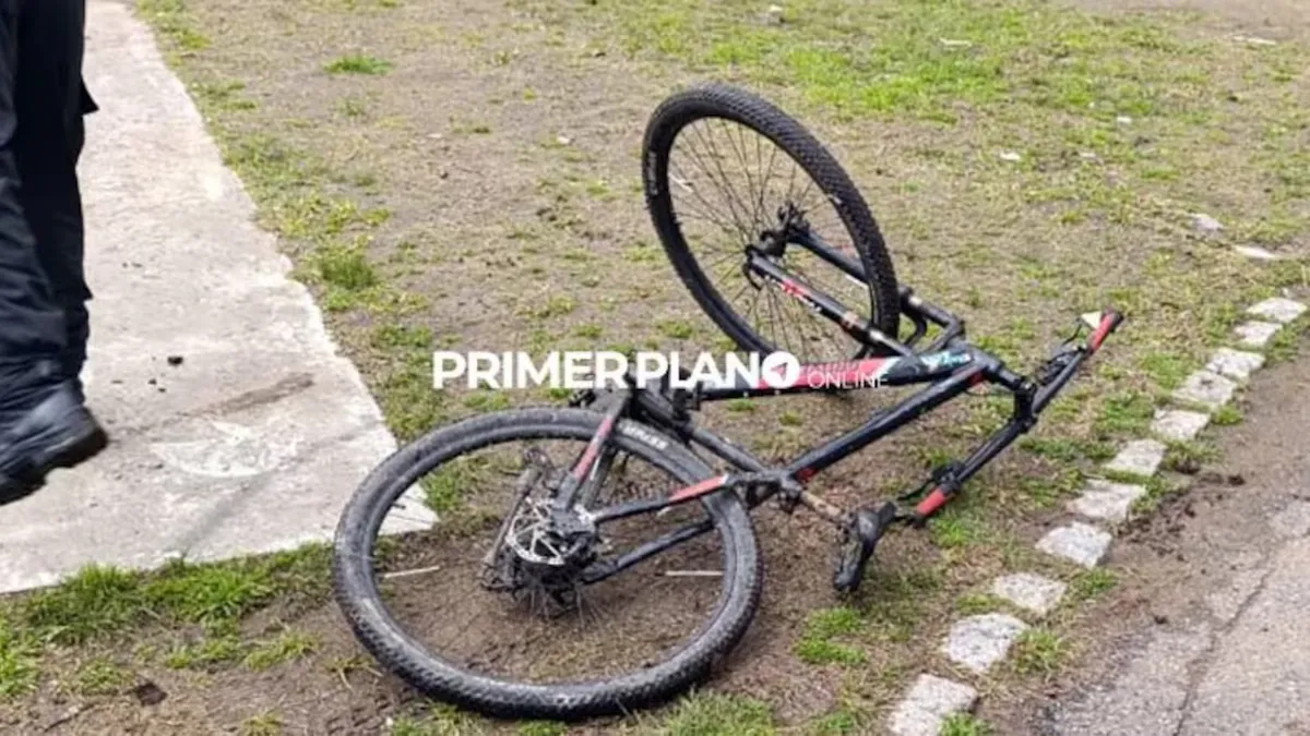 La bicicleta en la que se movilizaba el ladr&oacute;n qued&oacute; tirada en la vereda. (Foto: gentileza Primer Plano Online)