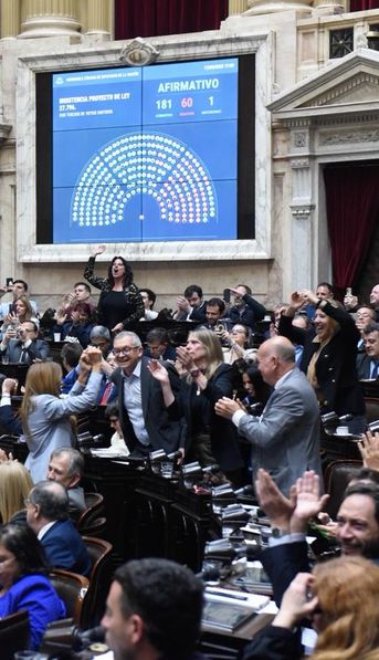 Diputados busca avanzar con la ley que limita el poder de Milei para firmar DNU