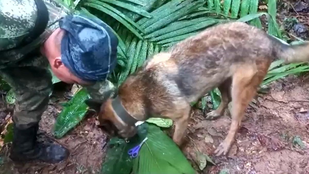 Wilson halló una mamadera, unas tijeras y ropa que usaron los niños y permitió seguir su rastro en la selva colombiana. (Foto: Captura de pantalla) Wilson halló una mamadera, unas tijeras y ropa que usaron los niños y permitió seguir su rastro en la selva colombiana. (Foto: Captura de pantalla)