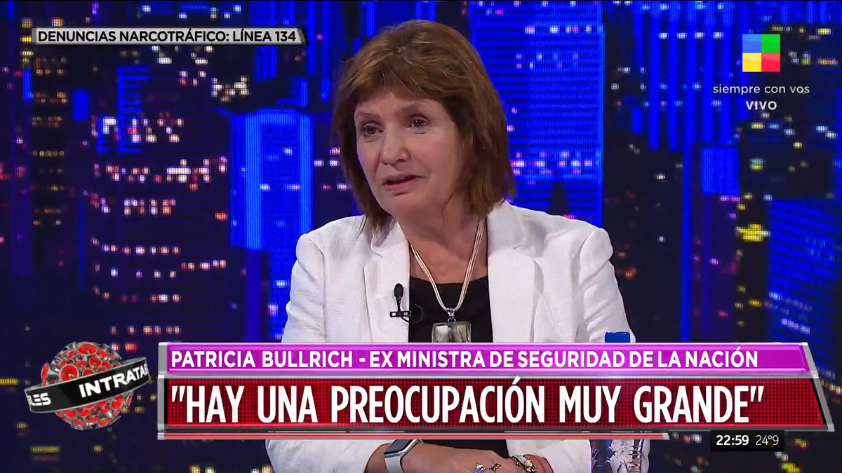 Patricia Bullrich en Intratables. (Captura TV)