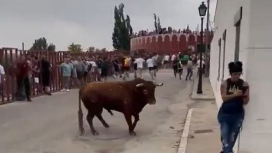 Impactante video: una mujer fue embestida por un toro mientras miraba su celular en plena corrida