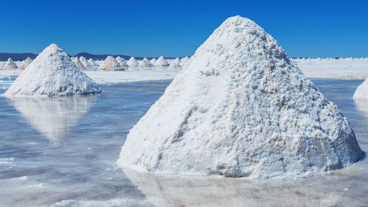 Minería: El rol del litio en la transición a un mundo libre de carbón lo eleva por encima de otros recursos energéticos. (Foto Grant Thornton Argentina)