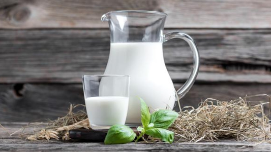 Complemento Leche de ANSES: a quién le corresponde