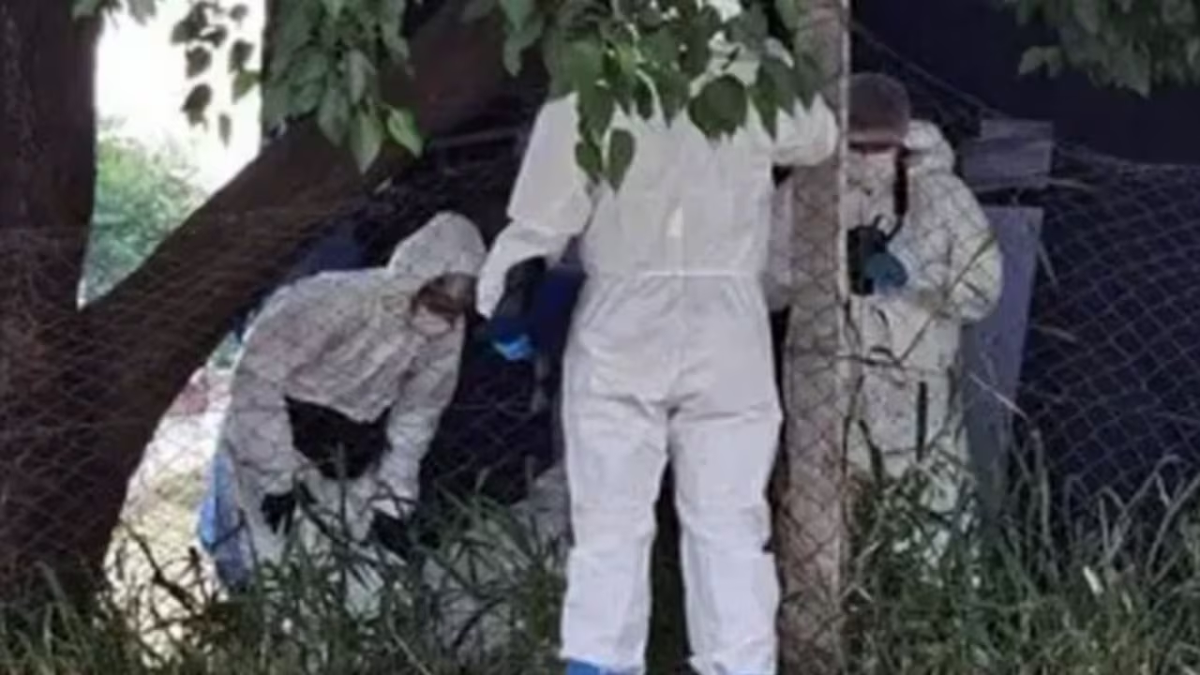 Macabro hallazgo en una cancha de fútbol que dejó a todos conmovidos