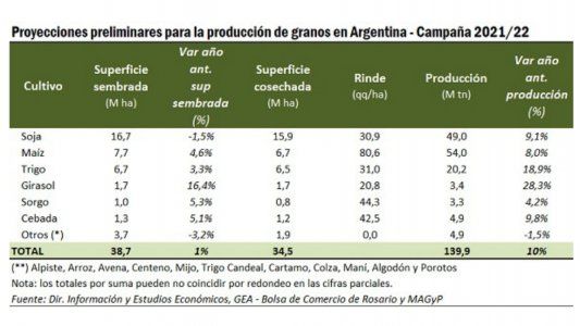 ¿Soja sin corona? La superficie volvería a caer y sería la menor en 20 años