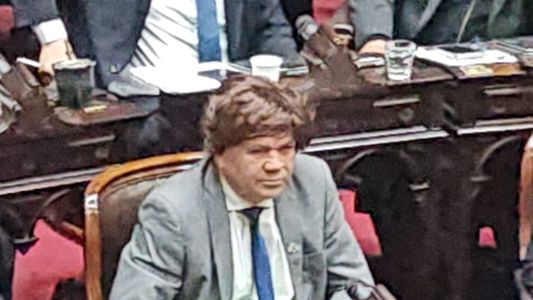 El voto con peluca de un diputado peronista que hizo enojar a Martín Menem