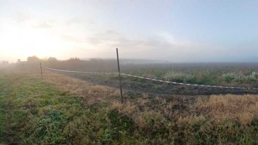 Escalofriantes resultados: la autopsia reveló el horror que sufrió un nene de 2 años antes de morir