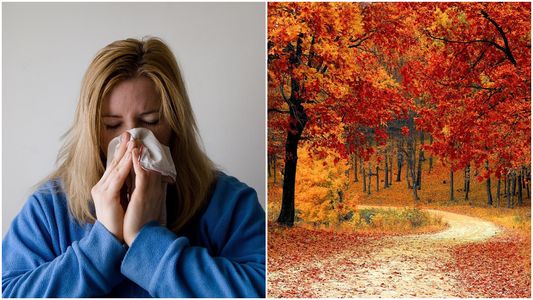 Las claves para reforzar el sistema inmunológico ante la llegada del otoño y los bruscos cambios de temperatura