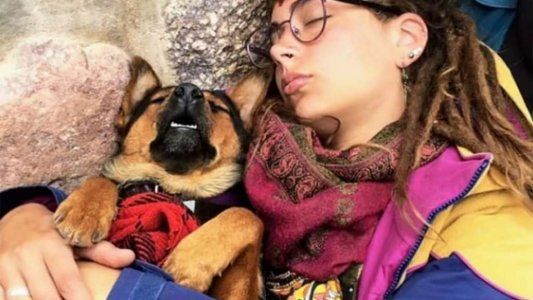 Quedó varada en Salta con su perrita y tuvo que dejarla para volver: pide ayuda para rescatarla