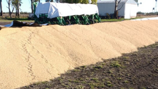 La Rural de Entre Ríos condenó un nuevo ataque a silobolsas: Es un mensaje tendiente a consagrar la impunidad