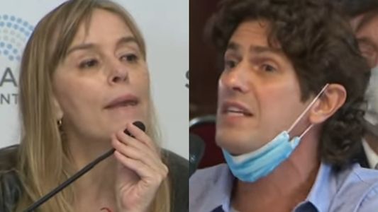 Al lado tuyo soy nórdica: la chicana de Juliana di Tullio a Martín Lousteau en el Senado