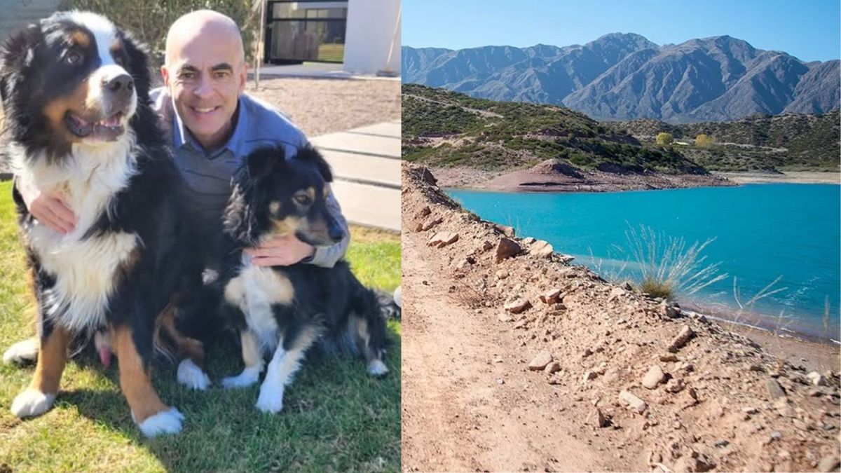 Un famoso neurocirujano salió a correr y terminó acorralado por 5 pitbulls.&nbsp;