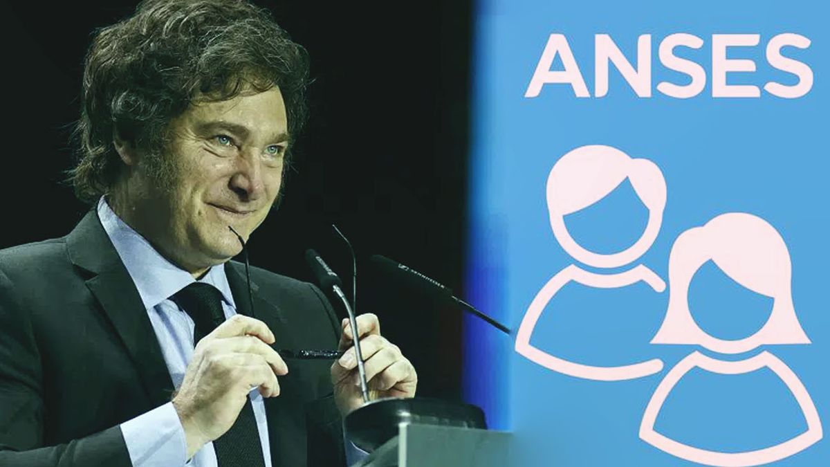 GRAN noticia de ANSES y Milei para SUAF: así quedaron los montos para octubre 2024 (Foto: archivo)